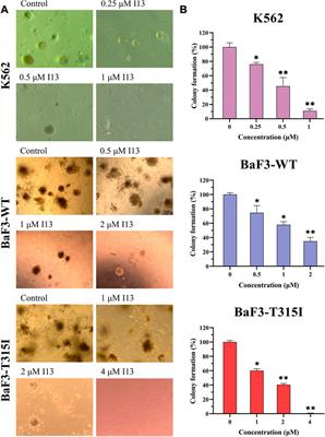 I13 overrides resistance mediated by the T315I mutation in chronic myeloid leukemia by direct BCR-ABL inhibition